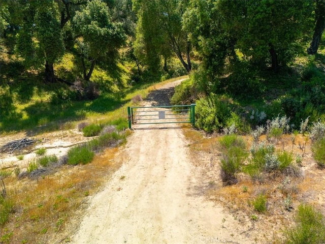 74650 Interlake Rd, Bradley, CA 93426 - photo 10