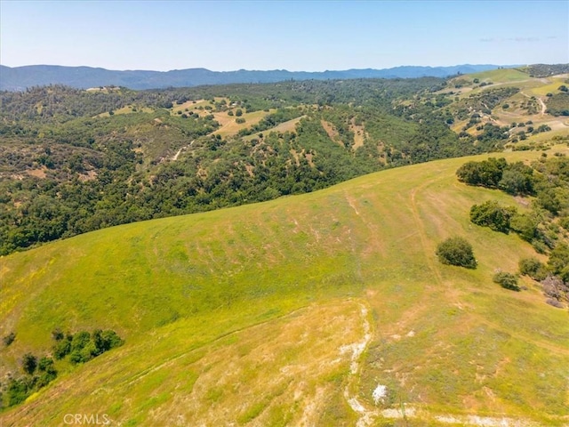 74650 Interlake Rd, Bradley, CA 93426 - photo 45