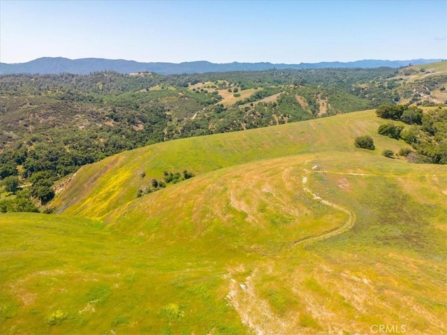 74650 Interlake Rd, Bradley, CA 93426 - photo 44
