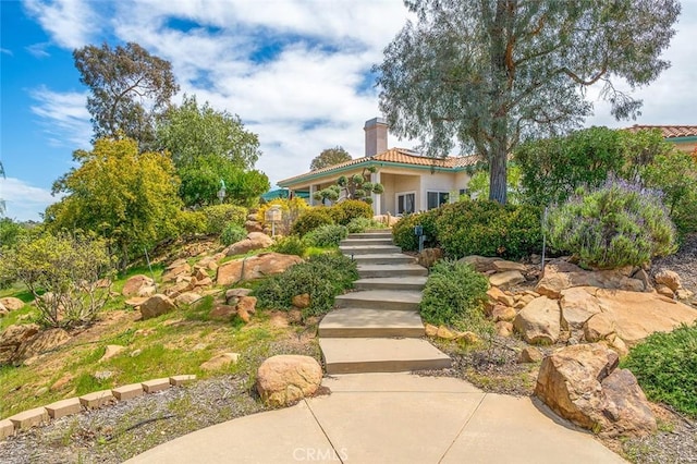 view of yard with stairs