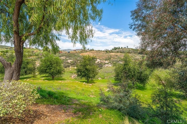 view of nature