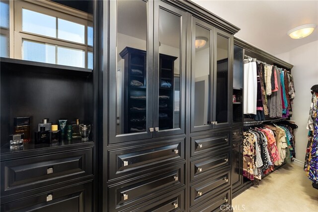 29311 Paseo Palmar, San Juan Capistrano, CA 92675 - spacious closet featuring carpet floors