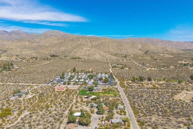11000 Coronado Dr, Morongo Valley, CA 92256 - photo 67