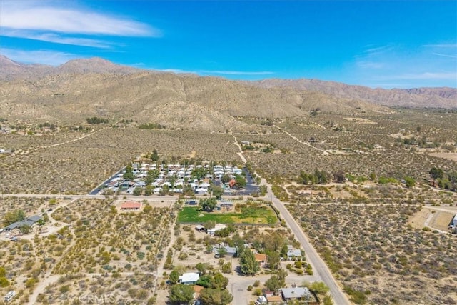11000 Coronado Dr, Morongo Valley, CA 92256 - photo 62