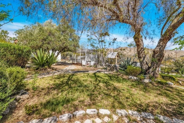 11000 Coronado Dr, Morongo Valley, CA 92256 - photo 50