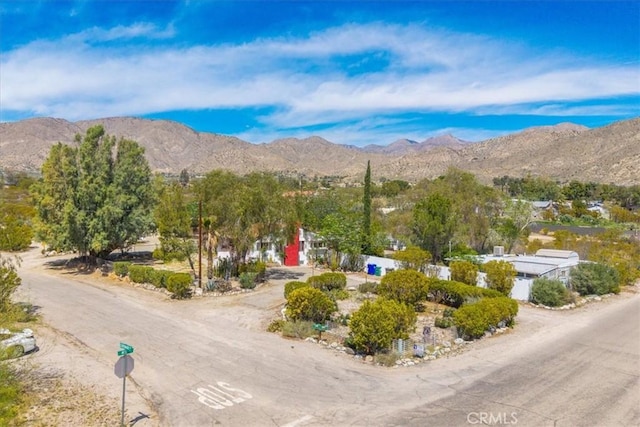 11000 Coronado Dr, Morongo Valley, CA 92256 - photo 59