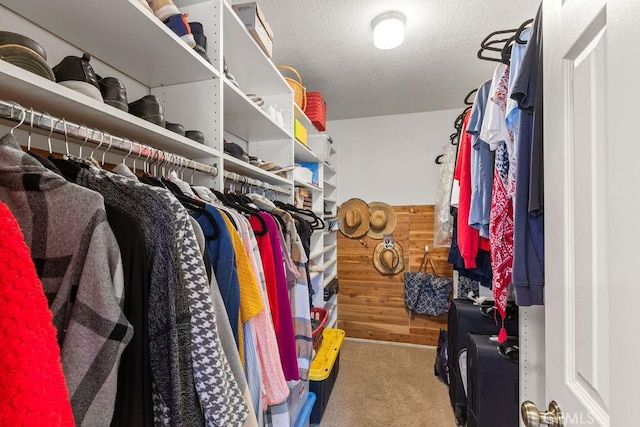 130 N Avenida Veracruz, Anaheim, CA 92808 - walk in closet featuring carpet floors