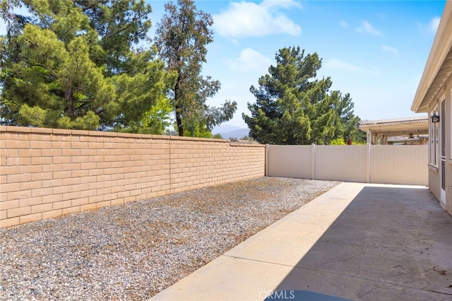view of yard with a patio and a fenced backyard