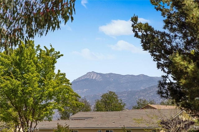 view of mountain feature