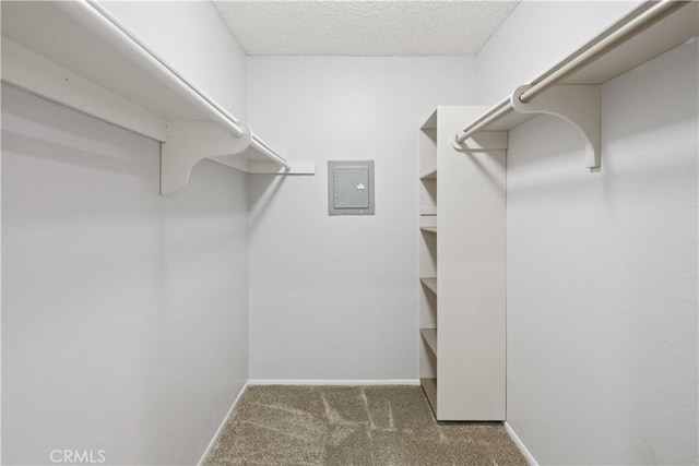 27633 Nugget Dr Unit 1, Canyon Country, CA 91387 - walk in closet featuring carpet flooring and electric panel