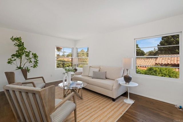 living room featuring baseboards, wood finished floors, and a healthy amount of sunlight