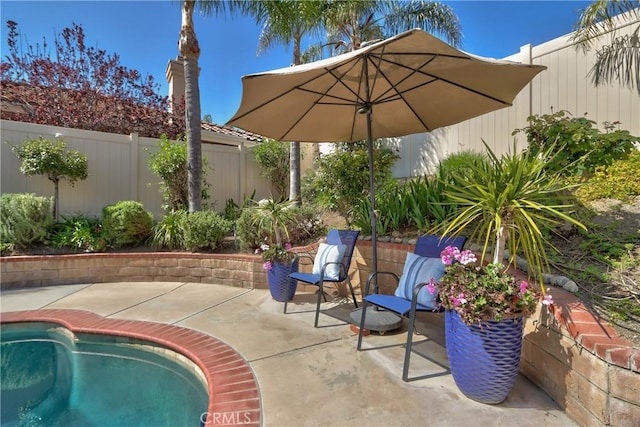 view of swimming pool with a patio, a fenced in pool, and a fenced backyard
