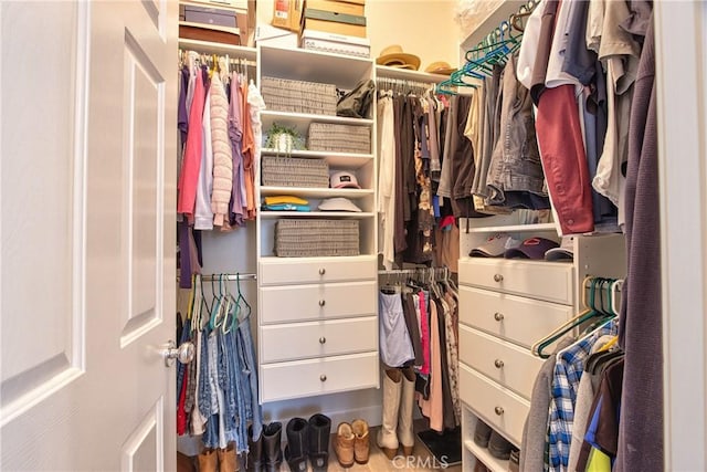 view of spacious closet