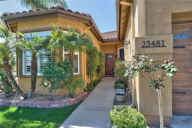 doorway to property with stucco siding and a tile roof