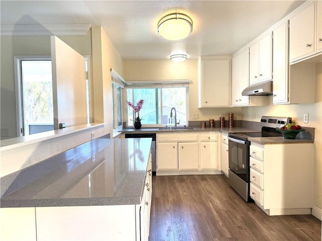 2576 E Coventry Cir Unit 98, Fullerton, CA 92833 - kitchen featuring appliances with stainless steel finishes, a sink, under cabinet range hood, dark wood-style flooring, and light stone countertops