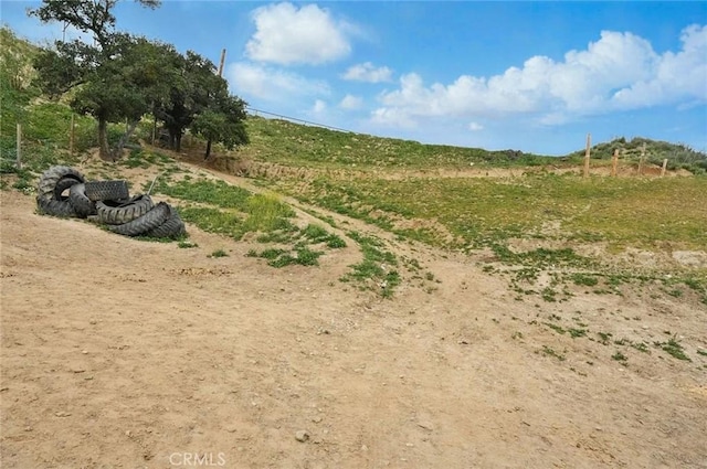 view of local wilderness