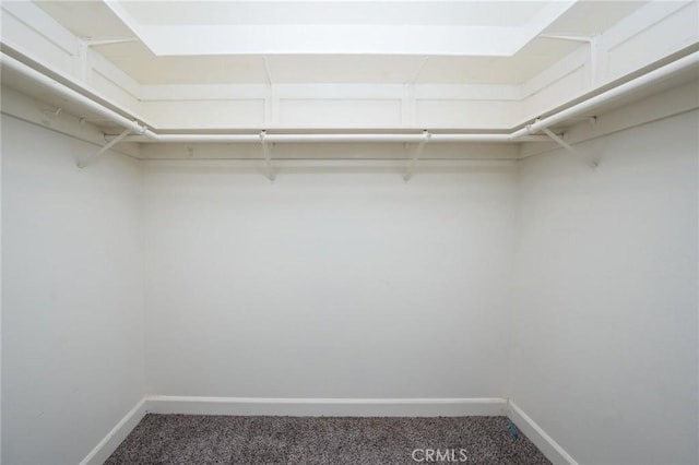 walk in closet featuring carpet flooring
