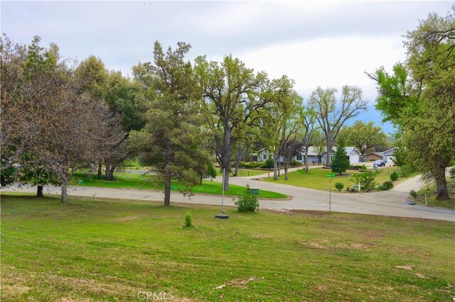 41820 Dillon Cir, Ahwahnee, CA 93601 - view of green lawn featuring a residential view