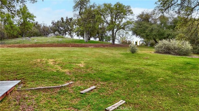 41820 Dillon Cir, Ahwahnee, CA 93601 - view of green lawn