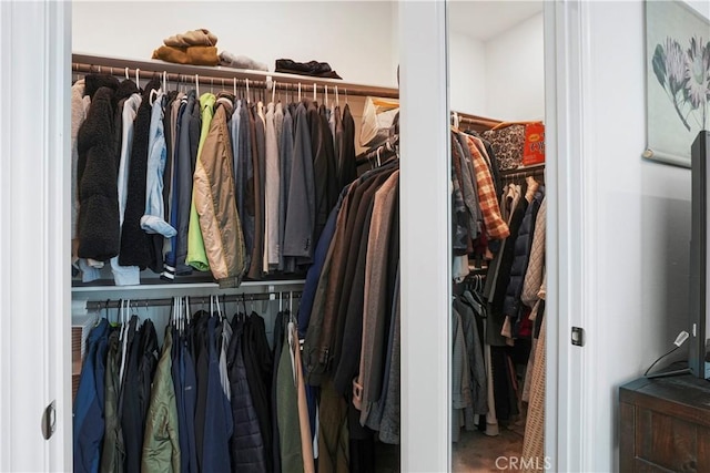 view of closet