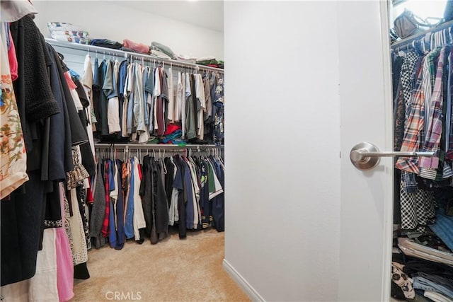 spacious closet featuring carpet floors