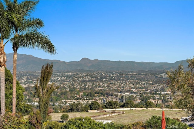 view of mountain feature