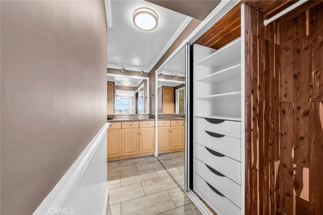 interior space with vanity and ornamental molding