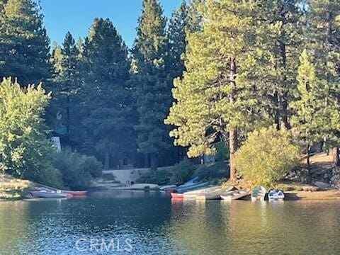 33429 Robin Dr, Green Valley Lake, CA 92341 - photo 70