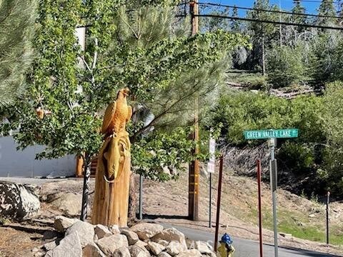 33429 Robin Dr, Green Valley Lake, CA 92341 - photo 75