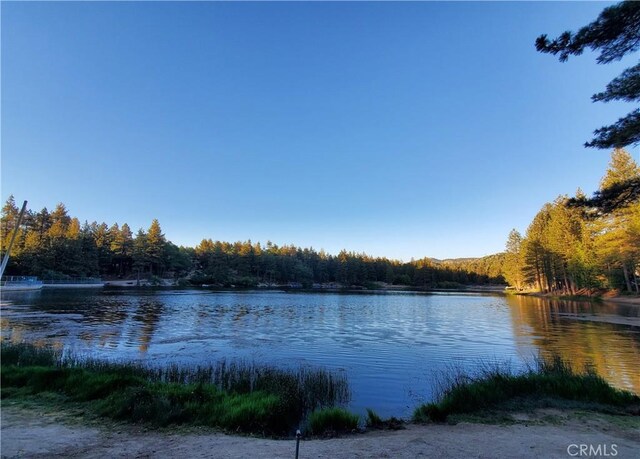 33429 Robin Dr, Green Valley Lake, CA 92341 - photo 69
