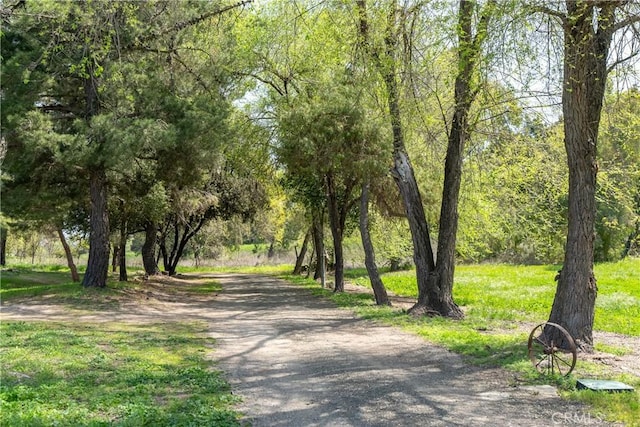 2925 Oakdale Rd, Paso Robles, CA 93446 - photo 22