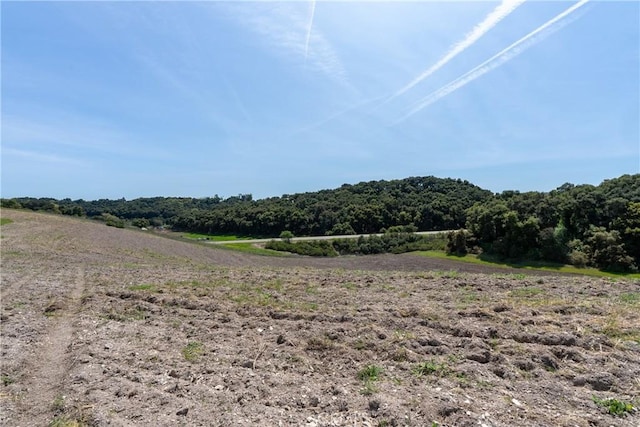 2925 Oakdale Rd, Paso Robles, CA 93446 - photo 35