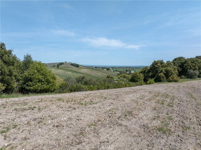 2925 Oakdale Rd, Paso Robles, CA 93446 - photo 37