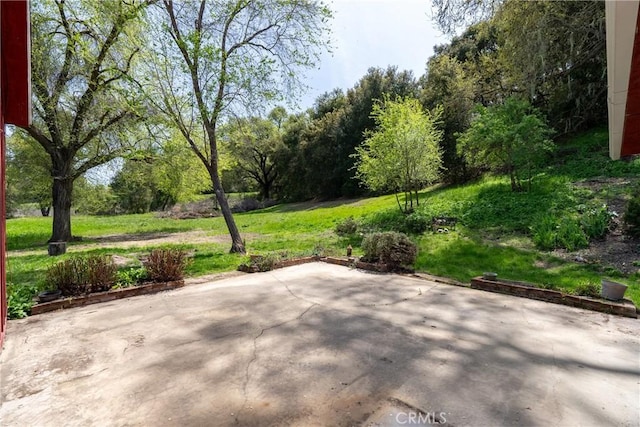 2925 Oakdale Rd, Paso Robles, CA 93446 - photo 23