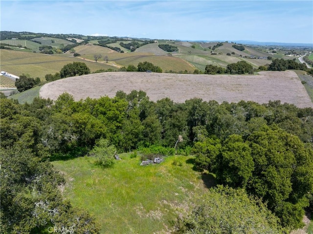 2925 Oakdale Rd, Paso Robles, CA 93446 - photo 39