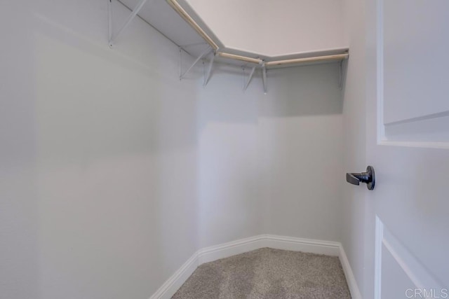 walk in closet with carpet