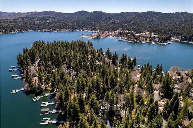 693 Old Meadow Pl, Lake Arrowhead, CA 92352 - bird's eye view with a forest view and a water and mountain view