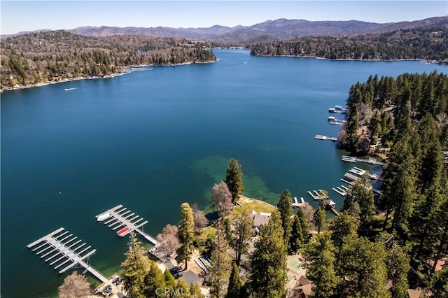693 Old Meadow Pl, Lake Arrowhead, CA 92352 - birds eye view of property with a forest view and a water and mountain view