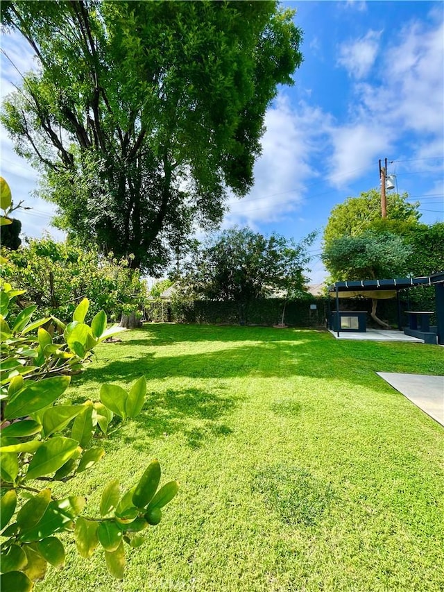 view of yard