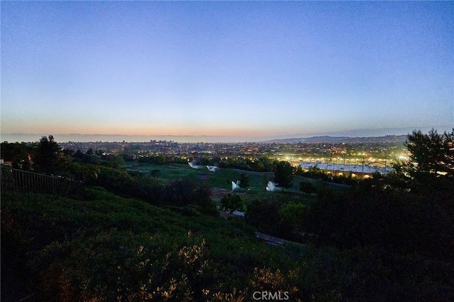 1961 W Snead St, La Habra, CA 90631 - drone / aerial view