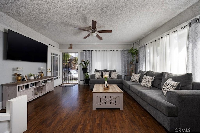 living room featuring a ceiling fan, wood finished floors, and a textured ceiling