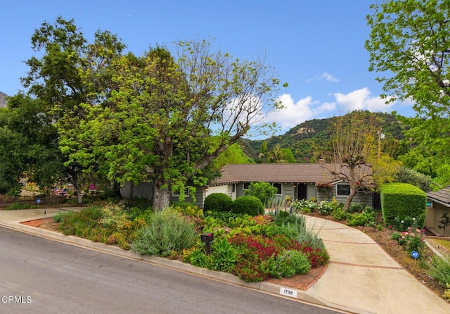 single story home with a mountain view