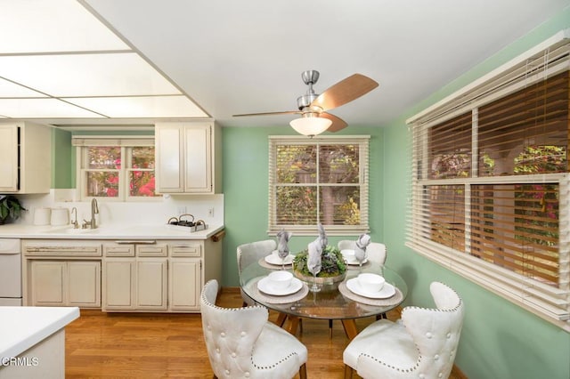 dining space featuring a ceiling fan and light wood finished floors