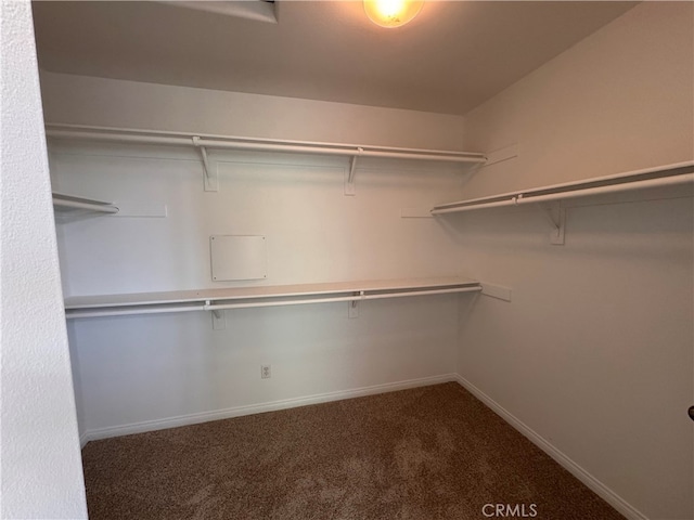 spacious closet with carpet