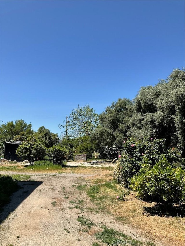1134 4th Ave, Corning, CA 96021 - view of local wilderness