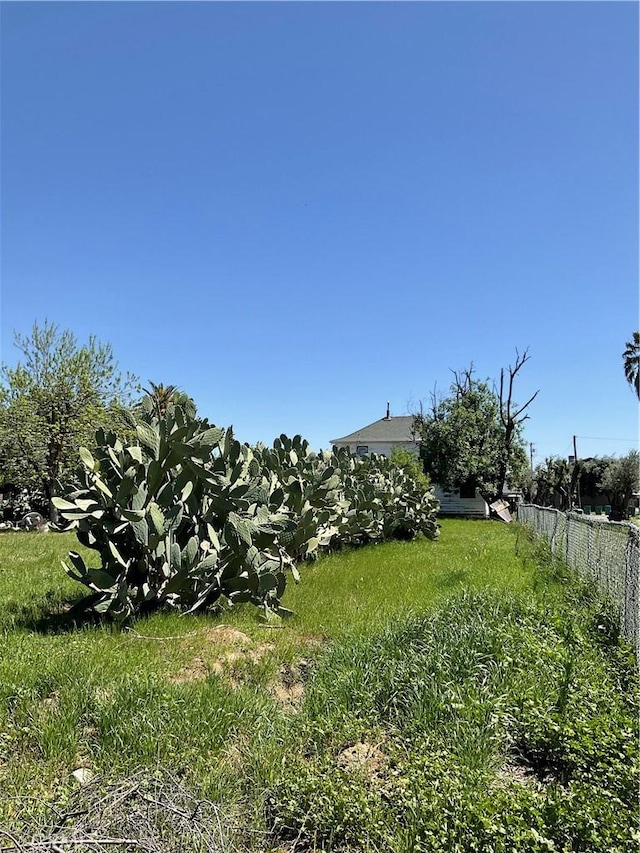 1134 4th Ave, Corning, CA 96021 - view of yard with fence