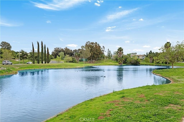 40310 Via Tonada, Murrieta, CA 92562 - view of water feature