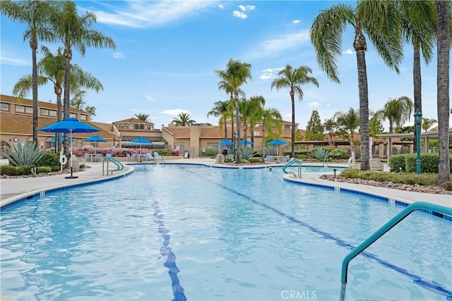 40310 Via Tonada, Murrieta, CA 92562 - view of community pool