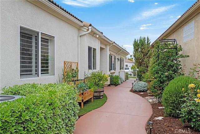 40310 Via Tonada, Murrieta, CA 92562 - view of side of property with stucco siding