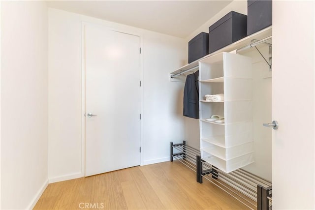 spacious closet featuring light wood-type flooring